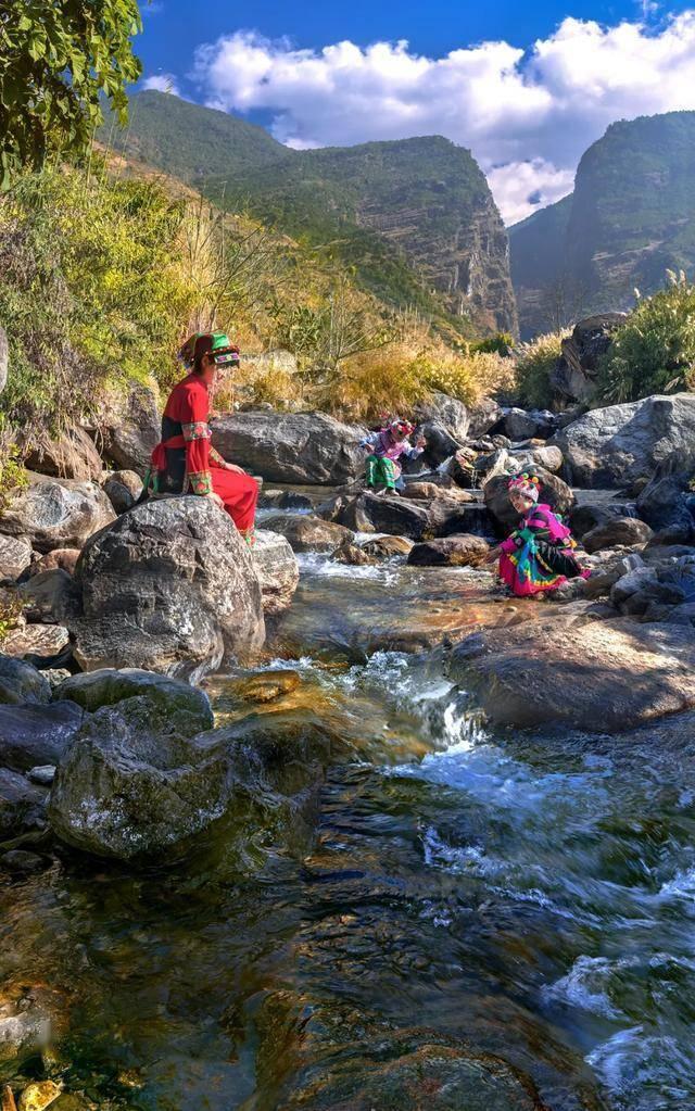 虫虫助手下载