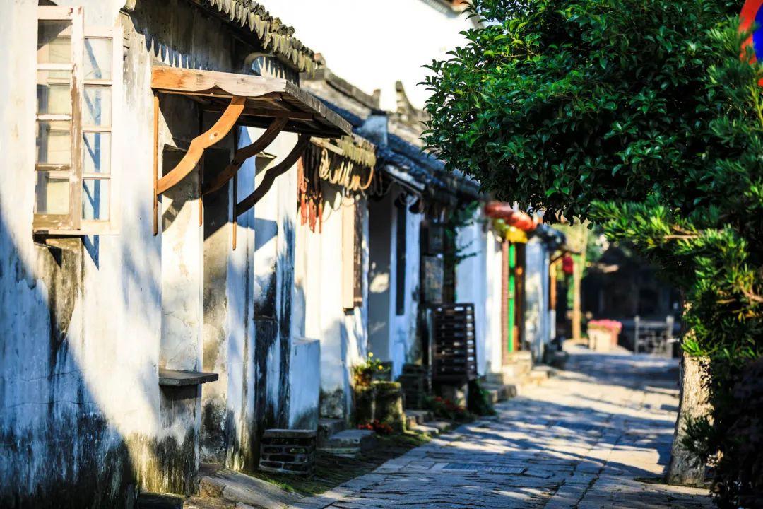 解答疑惑,畅所欲言,走近国足19年不胜日本,它们的差距在哪?